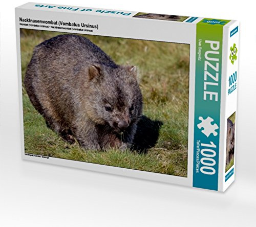 CALVENDO Puzzle Nacktnasenwombat (Vombatus Ursinus) | 1000 Teile Lege-Größe 64 x 48 cm Foto-Puzzle für glückliche Stunden