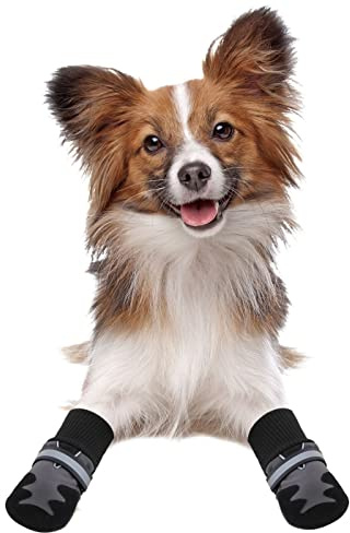 Pawise Doggy Boots Size 3 (Medium)