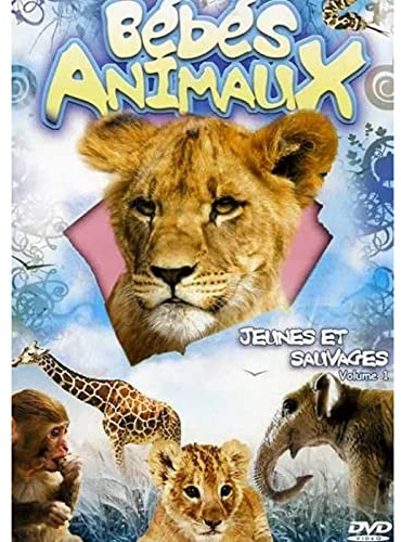 Bebe animaux, jeunes et sauvages, vol. 1 : de la naissance aux premiers pas [FR Import]