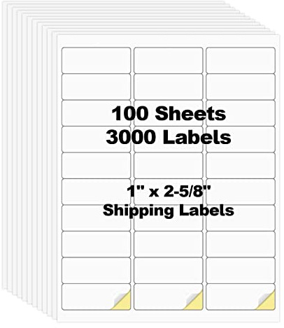 Risepekt 100 Sheets 3000 Pcs 30 Up 1 x2-5/8 Shipping Address Barcode Labels for Laser & Inkjet Printers, 1x2.625 on US Letter, 30 per Sheet Return Address Labels, 30 per Page