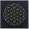 Tarot Tuch, 12 Sternbilder Astrologie Tarot Weissagungskarte Tischdecke, Für Tarot Enthusiasten Tägliche Haushalte Tarotkarte Tischdecke Blume Des Lebens Wahrsagung Altar Tuch Brettspiel Kartenblock