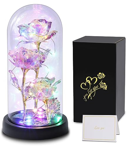Touloube Geschenke für Frauen Geschenk zum Muttertag, Infinity Rosen im Glas mit Licht, Die Schöne und das Biest Rose Galaxy Rose Blume Geschenk, Schöne Geschenke für Mama, Oma, Frauen,Geburtstag