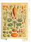 CALVENDO Puzzle Naturtafel mit Gemüse | 1000 Teile Lege-Größe 48 x 64 cm Foto-Puzzle für glückliche Stunden