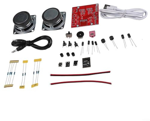 Lastdaytime Créez votre propre enceinte DIY Assemblez un kit stéréo avec design transparent et alimentation USB (sans boîtier)