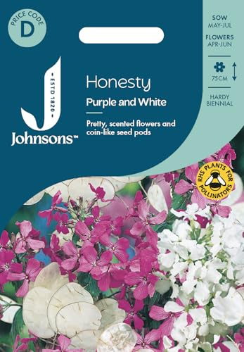 Johnsons Honesty Purple and White, Flower Seeds
