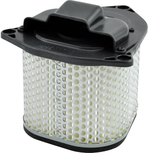 Air Filter for Cash Filter Airbox Two Original Suzuki VL1500