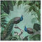 Fototapete Premium Shabby Chic Collage Edler Pfau Wandtapete 192 x 192cm
