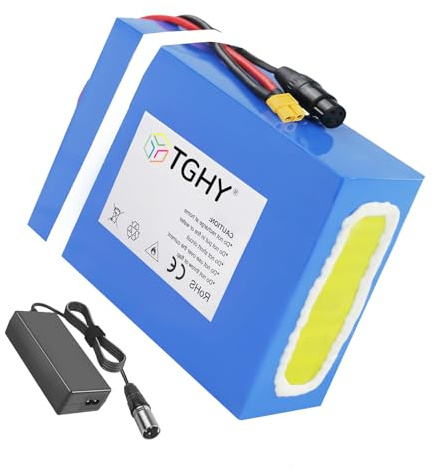 TGHY 60V 40Ah E-Bike-Akku, 72V 40Ah Lithium-Ionen-Akku-Pack für Elektrofahrräder mit Schnellladegerät für 0-2900W Elektromotoren von Fahrrädern, Mopeds und Dreirädern.,60v40ah