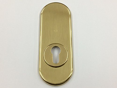 BOCCHETTA PER PORTA PORTONE BLINDATO, PIASTRINA ROSETTA PER CILINDRO EUROPEO OTTONE LUCIDO 170X62 COMPLETA DI VITI DI FISSAGGIO SECUREMME
