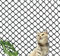 Red de protección Universal de Nailon para Balcones, terrazas, Gatos, Puertas y Ventanas, Color Negro (3 x 4 m)