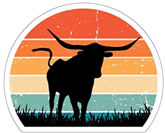 Teegarb Letter Blanket Sticker Decal Lustig Rodeo Ranch Cowpoke Country Hometown Kuh Longhorn Neuheit Wilder Westen Aufkleber für Laptop Auto 10,2 cm × 10,2 cm / Weiß
