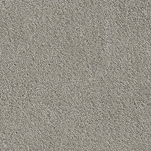 Grauer Teppichboden Velours Qualität Schlafzimmer Teppichboden 4m breit und 5m breit Teppich Auslegware für Fußbodenheizung (4 m x 4,5 m)