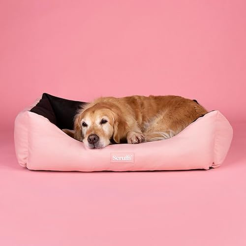 Scruffs Expedition Waterproof Travel Dog Box Bed (Xlarge)