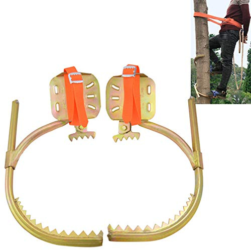 DFWYG Arrampicata Strumenti Albero,Tree Climbing Ramponi L'Albero Saldatura di Precisione Arrampicarsi per Scegli I Pinoli,Raccogliere Frutta,Noce di Cocco,Type 450（22~45 Cm）