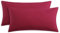 RUIKASI Kissenbezug 40 x 80 Rot 2er Set - Oeko Tex Kopfkissenbezug 40x80 Kissen Bezug 40x80cm mit Reißverschluss aus Mikrofaser, Polsterbezug Doppelpack Set Pillow Case Pillow Cover