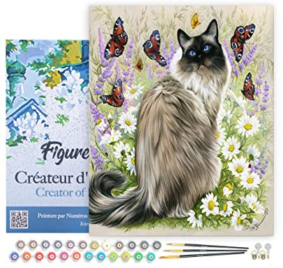 Figured'Art Peinture par Numéro Adulte avec Cadre Découverte des papillons - Activité Manuelle Kit de Loisir Créatif DIY Numéro d'Art Complet - 40x50cm toile tendue sur châssis