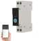 Interruptor Medidor Energia - WIFI Inteligente Interruptor - Control Remoto de Teléfono Móvil Inalámbrico y Función de 3 Modos de Sincronización- Compatible con Alexa, Google Home, TUYA App - 63A