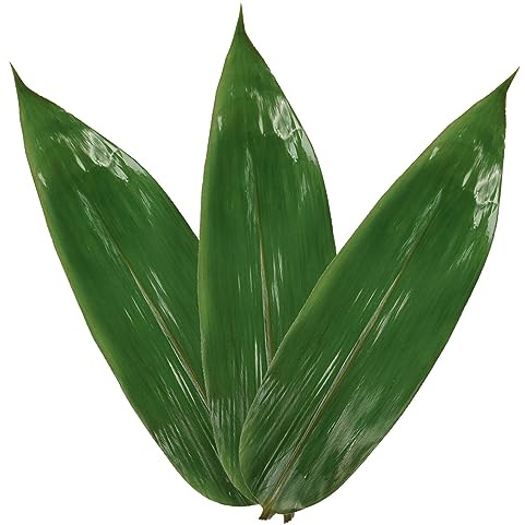 Zongzi Leaf Lot de 100 feuilles de bambou pour la fabrication de sushis Zongzi - Décoration de fête chinoise - Feuilles de bambou - Feuilles de riz chinois - Feuilles de bambou
