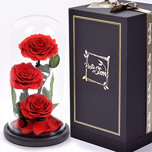 RUSTIC STEMS Luxuriöse konservierte echte Rose, Glaskuppel, ewige Blume für die Ewige Schönheit und das Biest, unendliche Liebe, handgefertigtes Geschenk für Mutter, Frauen, Geburtstag, Jahrestag