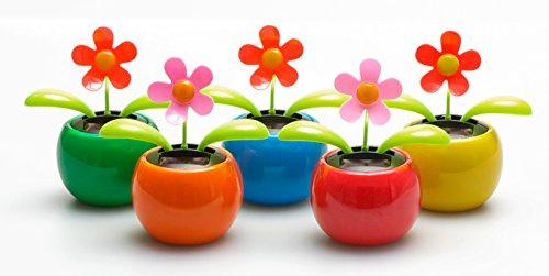 5er Set Solar Wackelblumen Solar Wackelblume Solarblume Wackelfigur Blume Grün, Orange, Pink, Blau, Rot Deko Fensterbank Auto Dekoblume