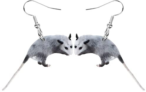 DUOWEI Acryl Lateinamerika Opossum Ohrringe Lustige Opossum Baumeln Schmuck für Frauen Mädchen Teenager Geschenke Charms (Kieselstein)