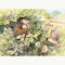 Cobble Hill 1000 Teile Puzzle – verstecktes Nest – Musterposter im Lieferumfang enthalten