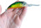 Wobbler Tiefläufer, Wels, Hecht, Rapfen, Zander (Grün Barsch)