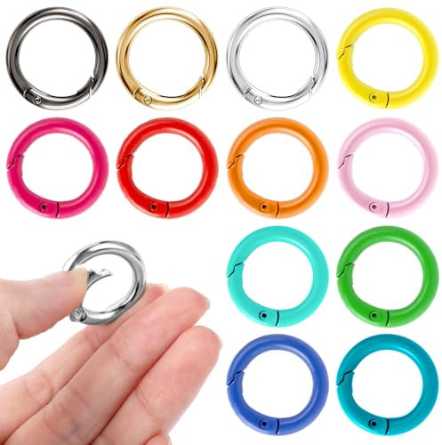 12 Stück Mini Karabinerhaken Runde Karabiner Schlüsselanhänger 2,4 cm Schlüsselring Metallring Mini Karabiner Schlüsselringe Klein Clip Ringe Haken für Schule Zuhause Oder Büro (12 Farben)