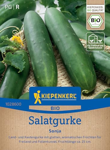 Kiepenkerl Salatgurkensamen Sonja 1028600 - BIO Gurkensamen für aromatische, glatte und bitterfreie Gurken, ideal für Freiland und Folientunnel, robuste Gemüsesamen