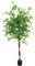 Zstar Árbol de ficus Artificial, 180 cm/6 pies, Gran árbol de ficus Artificial en Maceta, Plantas Artificiales Grandes con Textura Realista para vestíbulo, salón, Dormitorio, decoración