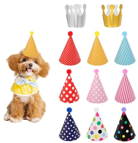 11 Stück Partyhüte Geburtstag Set,Partyhüte zum Geburtstag,Bunte Party Kegel Hüte,9 Partyhut mit Pompoms & 2 Geburtstag Krone,Geburtstagshut für Kinder Erwachsene Geburtstag Festival Deko Foto Prop