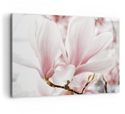 Wandbilder Dekoration Wohnzimmer Zweig Magnolie Blume Bilder auf Leinwand 120x80cm Leinwandbild Schlafzimmer Küche Deko Wand Kunstdruck Art Groß XXL Wanddeko Bild Wall Decor Canvas AA120x80-4538