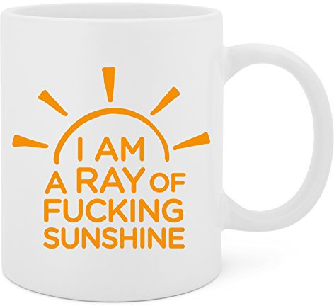 TheMugStore I'm A Ray Of Fucking Sunshine Keramiktasse mit großem C-Griff, mikrowellen- und spülmaschinenfest, 370 ml, Weiß