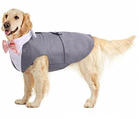 Dog Tuxedo, Smoking Hund Hochzeit Outfit Hunde Fliege Hochzeit S-XXL hundekostüm Kleine/Mittlere/Große Hunde Anzug(Grau, XXL)