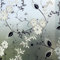 Hoonng Fensterfolie Blickdicht Selbsthaftend Motiv Blume Sichtschutz 75x200cm