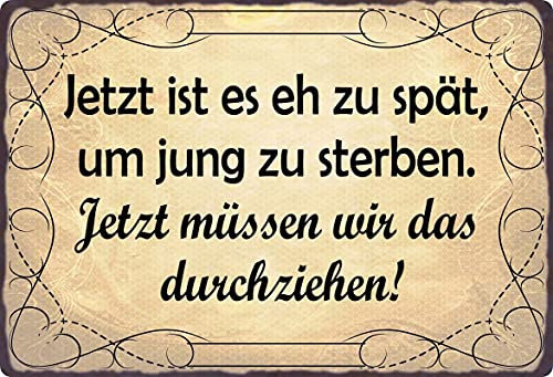 Metall Schild 20x30cm Zu spät um jung zu sterben Spruch Blechschild