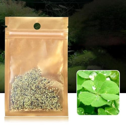10g Grass Seeds Fast Growing,Aquarium Grass Plants Seeds, Fish Aquatic Water Grass Decor (Lucky Grass)