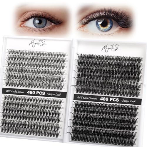 480PCS Cluster Lashes Fluffy Individual Eyelashes 60D 80D Thick Eyelash Extension 30D 40D Individual Lashes Multi-Style D Curl 10-20mm DIY Lash Extensions for Beginners(30D-80D-D, 11-20MIX)
