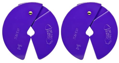 Micro Gainz Dumbbell Fractional 2.5 lb Weight Plate, Ideal for Micro Loading, (Choose Color) 2 Piece Fractional Weight Plates, Designed for Dumbbell Training, Made In USA (Purple)