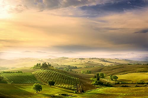 VLIES Fototapete-TOSKANA-(PF6566)-500x280 cm-Landschaft Wald Feld Wiese Gebirge Bäume Blumen Panorama Wandbild XXL Poster Moderne Tapete