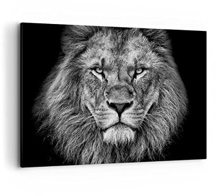 Bilder auf Leinwand 100x70cm Leinwandbild Porträt Löwe Schwarzweiß Groß Wanddeko Bild Schlafzimmer Küche Deko Wandbilder Dekoration Wohnzimmer Wall Decor Canvas Wand Kunstdruck Art AA100x70-4494