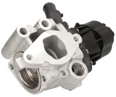 DELPHI EG10482-12B1 AGR-Ventil Abgasrückführungsventil ohne AGR-Kühler Kompatibel mit IVECO Daily VI Kastenwagen 504384188 5801365344 5801856571