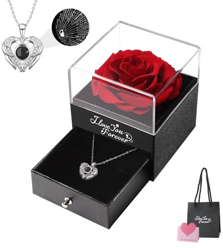 Emibele Konserviert Echte Rote Rose, Halskette mit 100 Sprachen für Frauen Mutter Freundin, Necklaces Rosenbox mit Konservierte Blumen für Romantische Geschenke für Mama Oma Frau Freundin