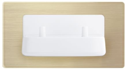 Taps2Traps ProofVision In-Wall Electric Dual Toothbrush Charger, Brushed Brass Finish, 220-240V Compatible with Oral-B and Braun (excluding the iO & Pulsonic series)