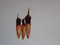Portal Cool 3 frisch gemolkene Monkey Puzzle Seeds (Araucaria Araucana)