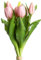 Botanic-Haus künstliches Tulpenbündel/künstlicher Tulpenbund Sandy mit 4 Tulpen und 3 Tulpenknospen Farbe: pink real Touch