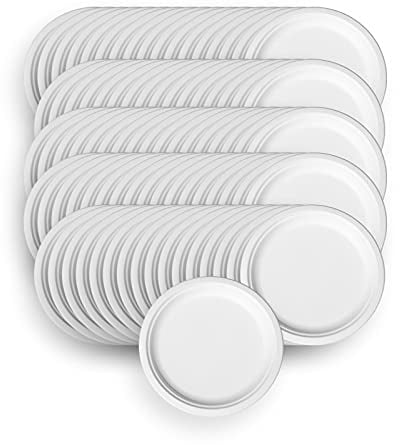 LINARIO Platos de barbacoa biodegradables, no plásticos, respetuosos con el medio ambiente, 4 x 25 unidades por paquete, 100 unidades, ecológicos