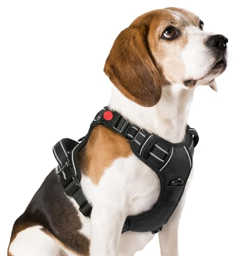 rabbitgoo Hundegeschirr Mittelgroße Hunde, Verstellbare Geschirr Hund ohne Zug & Würgen, Anti Zug hundegeschirr mit Griff, weich Gepolsterte Reflektierende Brustgeschirr, Schwarz M