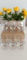 Ricard Lot de 6 verres ballon