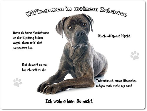 Merchandise for Fans Blechschild/Warnschild/Türschild - Aluminium - 30x40cm - Cane Corso/Italienischer Mastiff - 02
